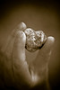 amoura > Children's Gallery photo