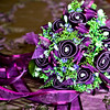 Mariela's  Quince : 