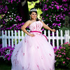 Andrea's Quince Portraits : 